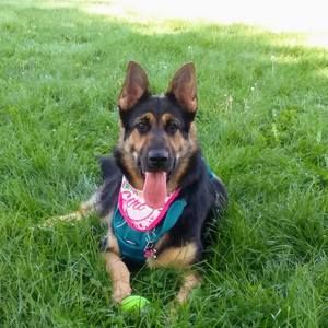 Meet your Posher, Alexandra